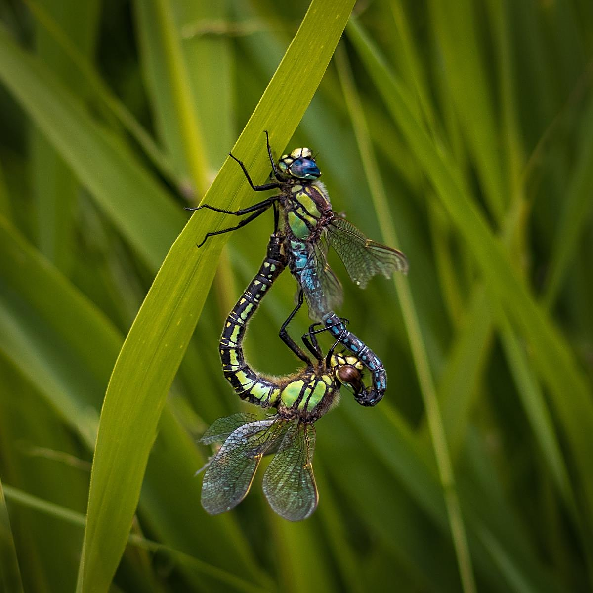 A Very Private Moment - Pat Ainger